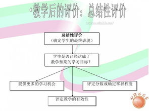 我國中小學(xué)信息技術(shù)教育的現(xiàn)狀與發(fā)展 聚焦網(wǎng)絡(luò)技術(shù)