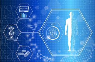 AI醫療的落地應用全景 從智能診療到基礎軟件開發的實踐與探索